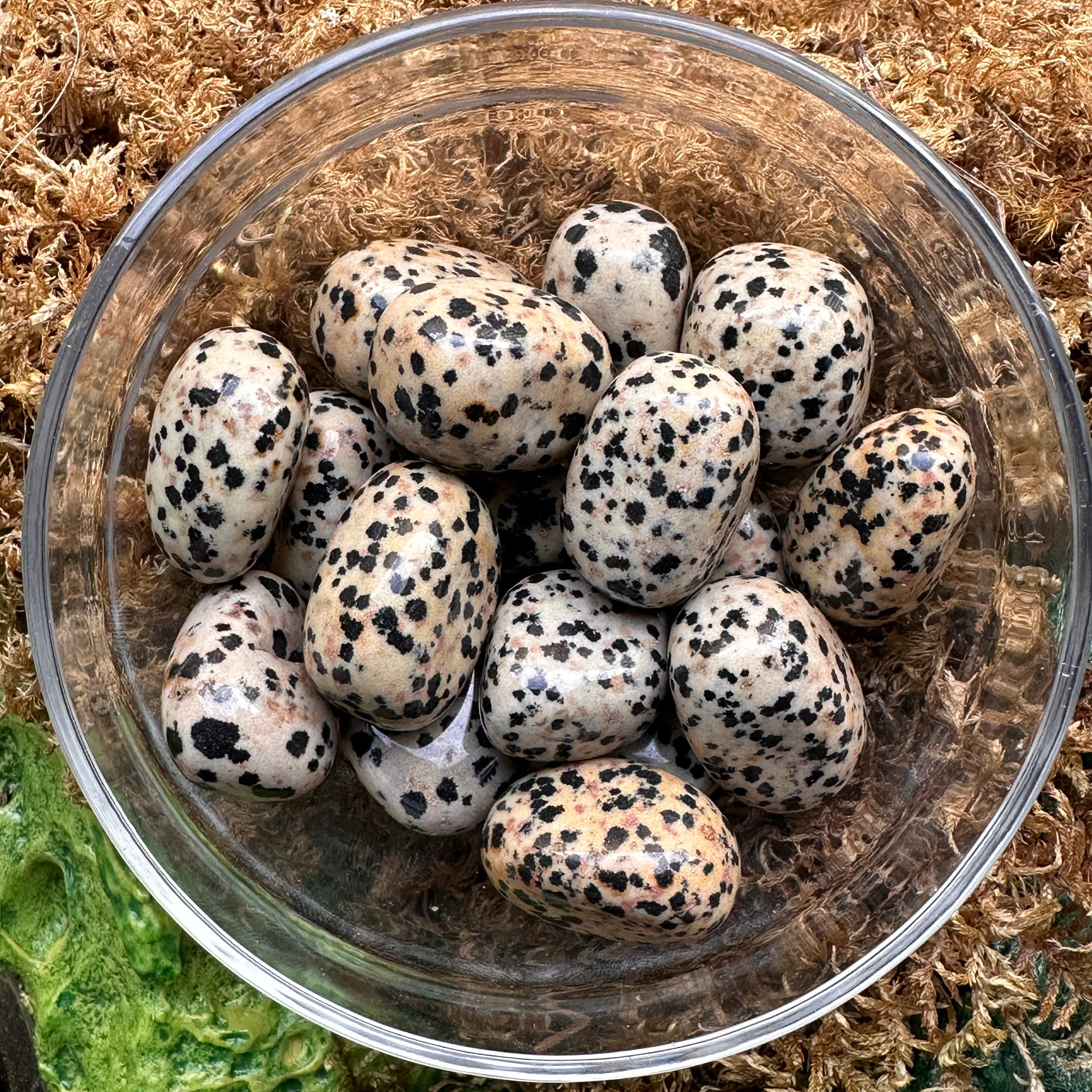 Pocket Size DALMATIAN JASPER