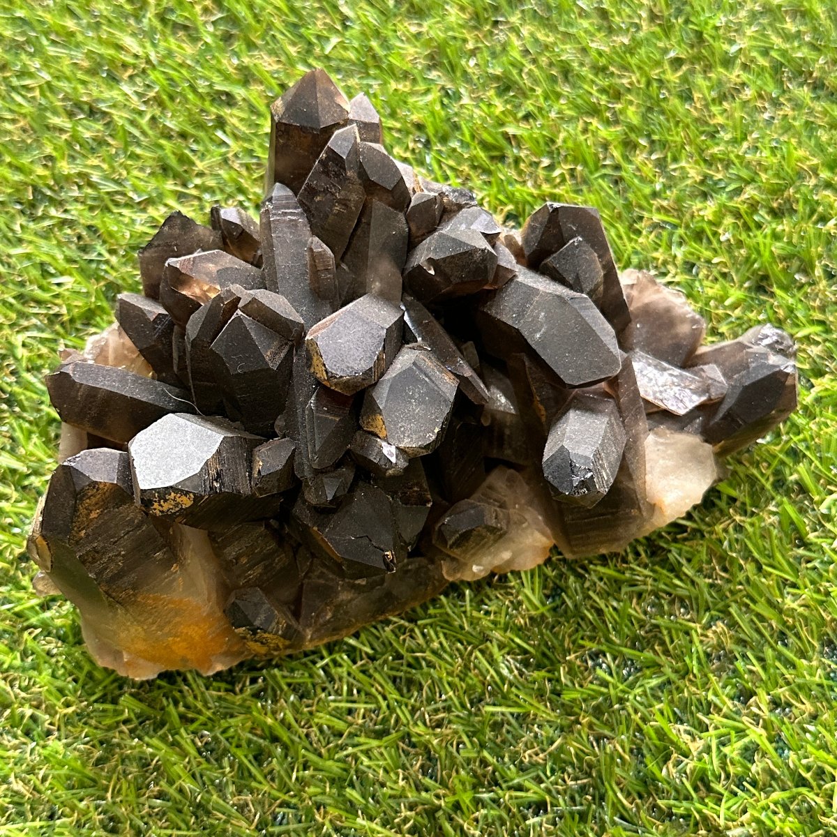 Smoky Quartz Cluster