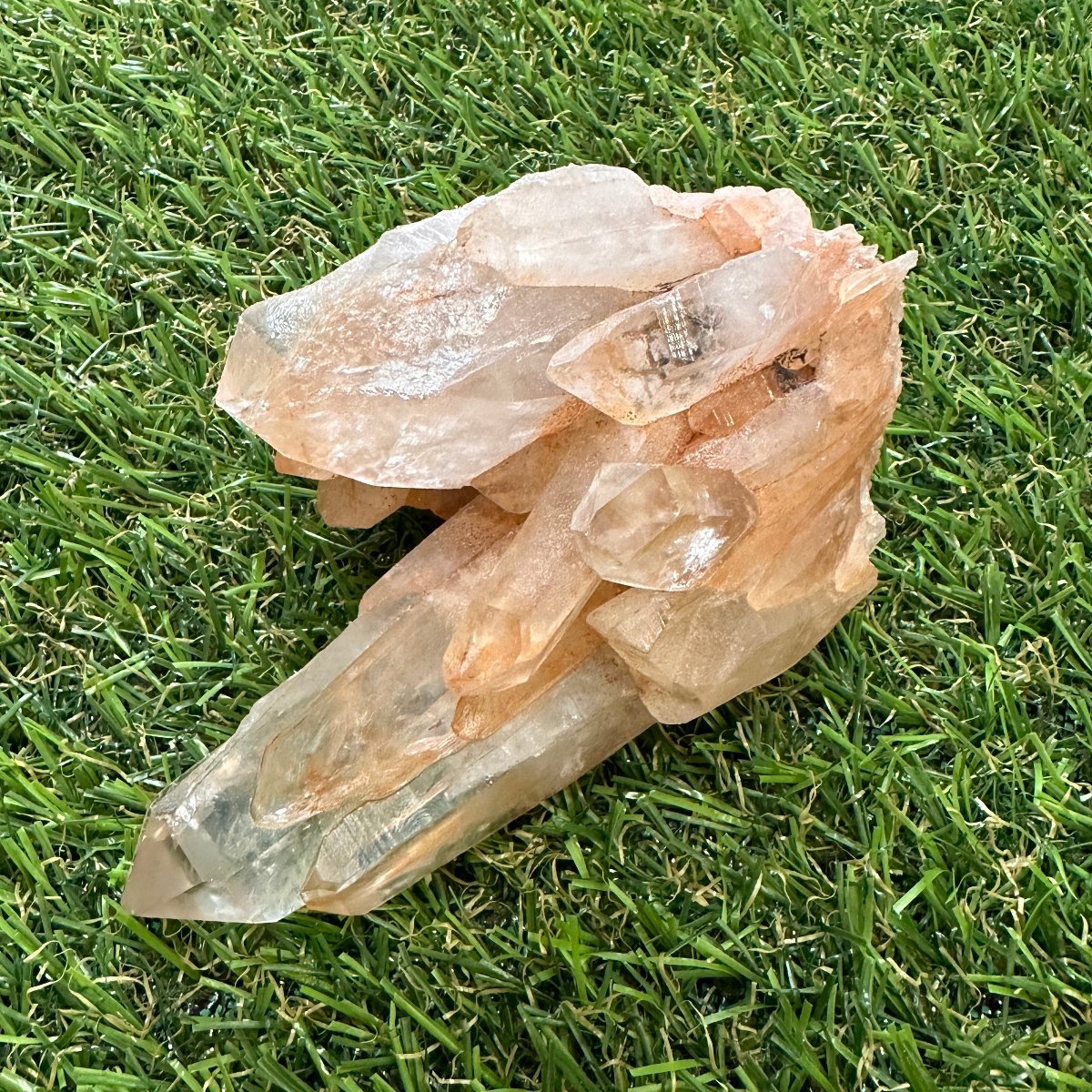 Lemurian Quartz Cluster