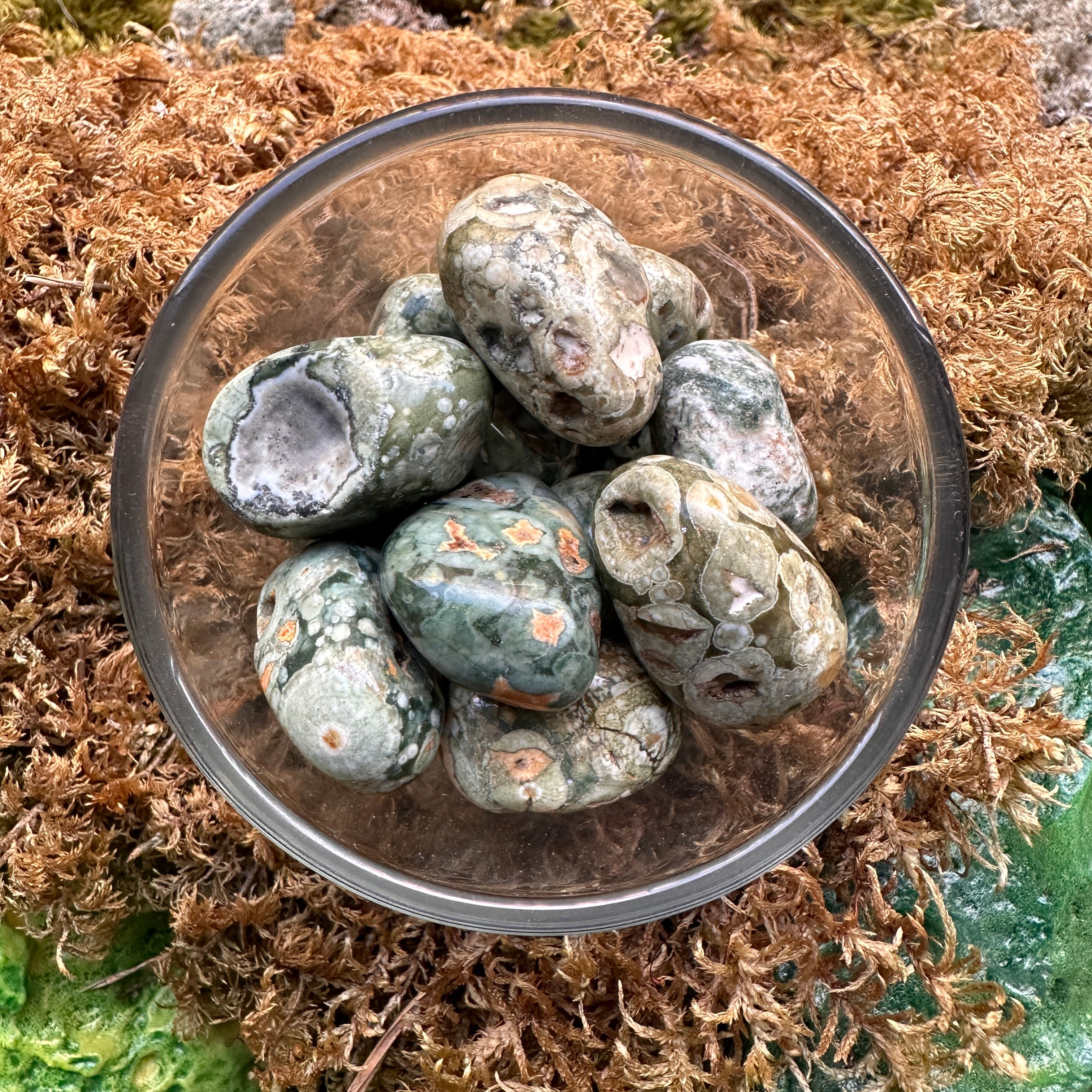 Pocket Size RHYOLITE RAINFOREST JASPER