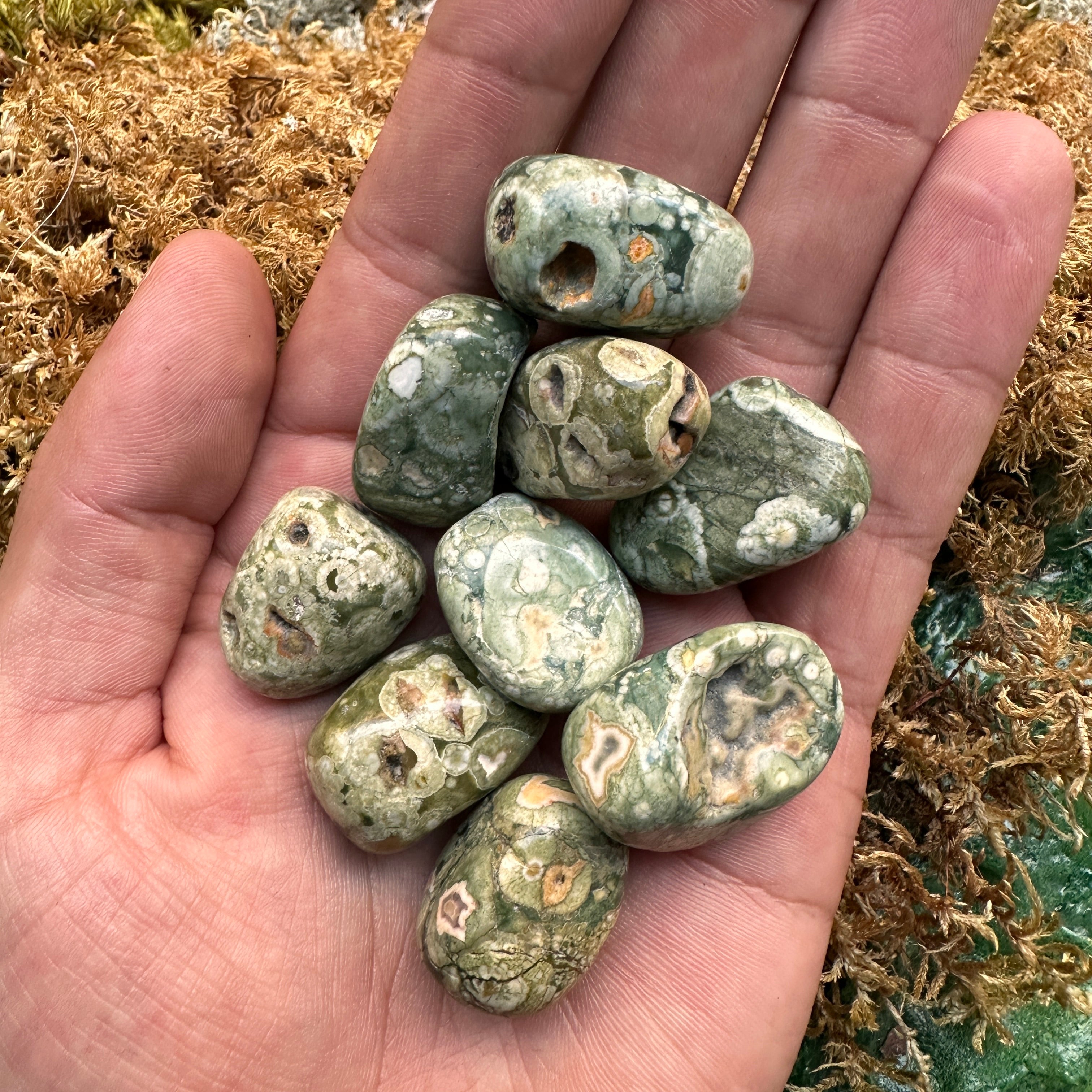 Pocket Size RHYOLITE RAINFOREST JASPER