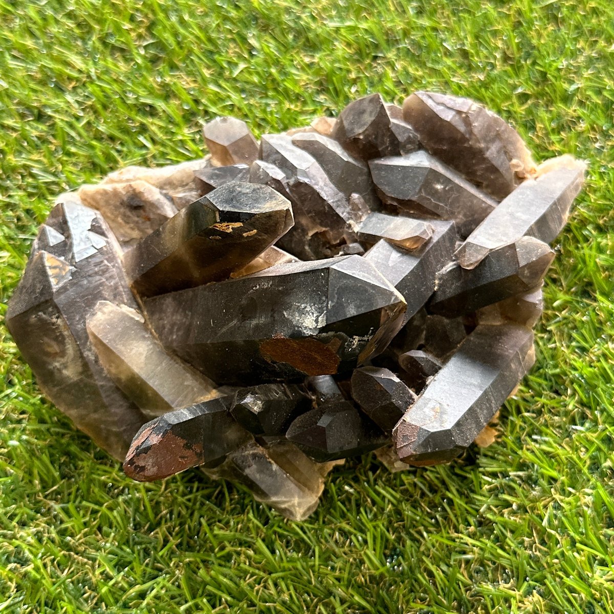 Smoky Quartz Cluster