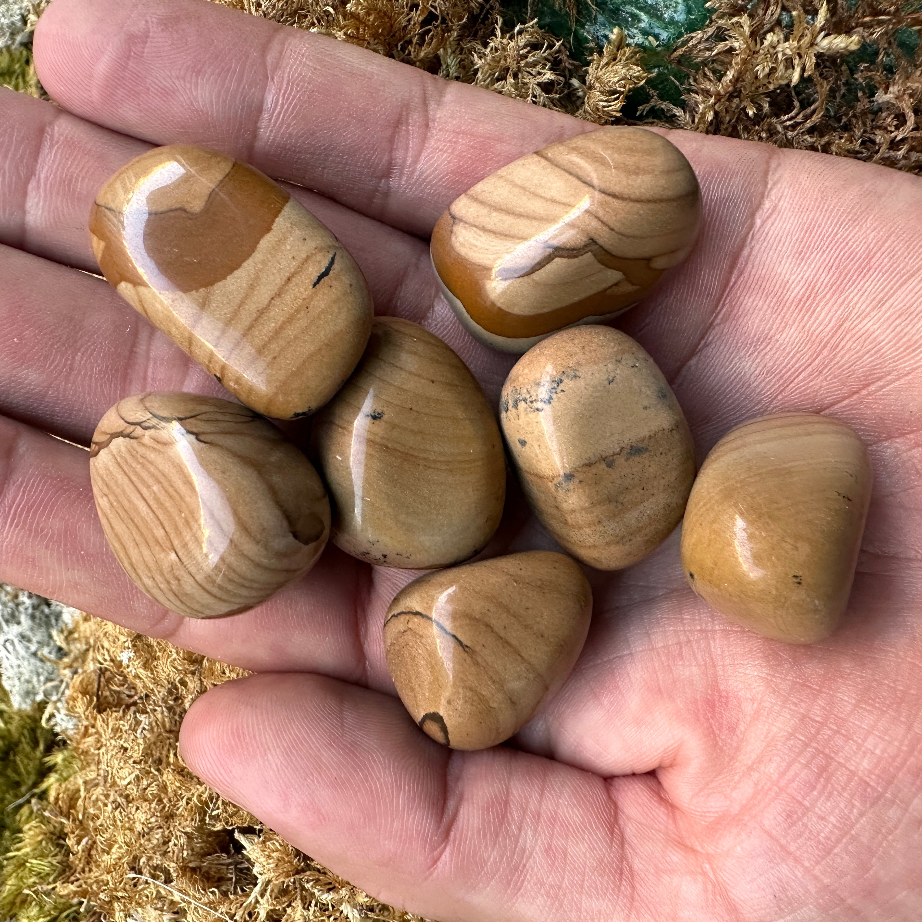 Pocket Size WALNUT JASPER