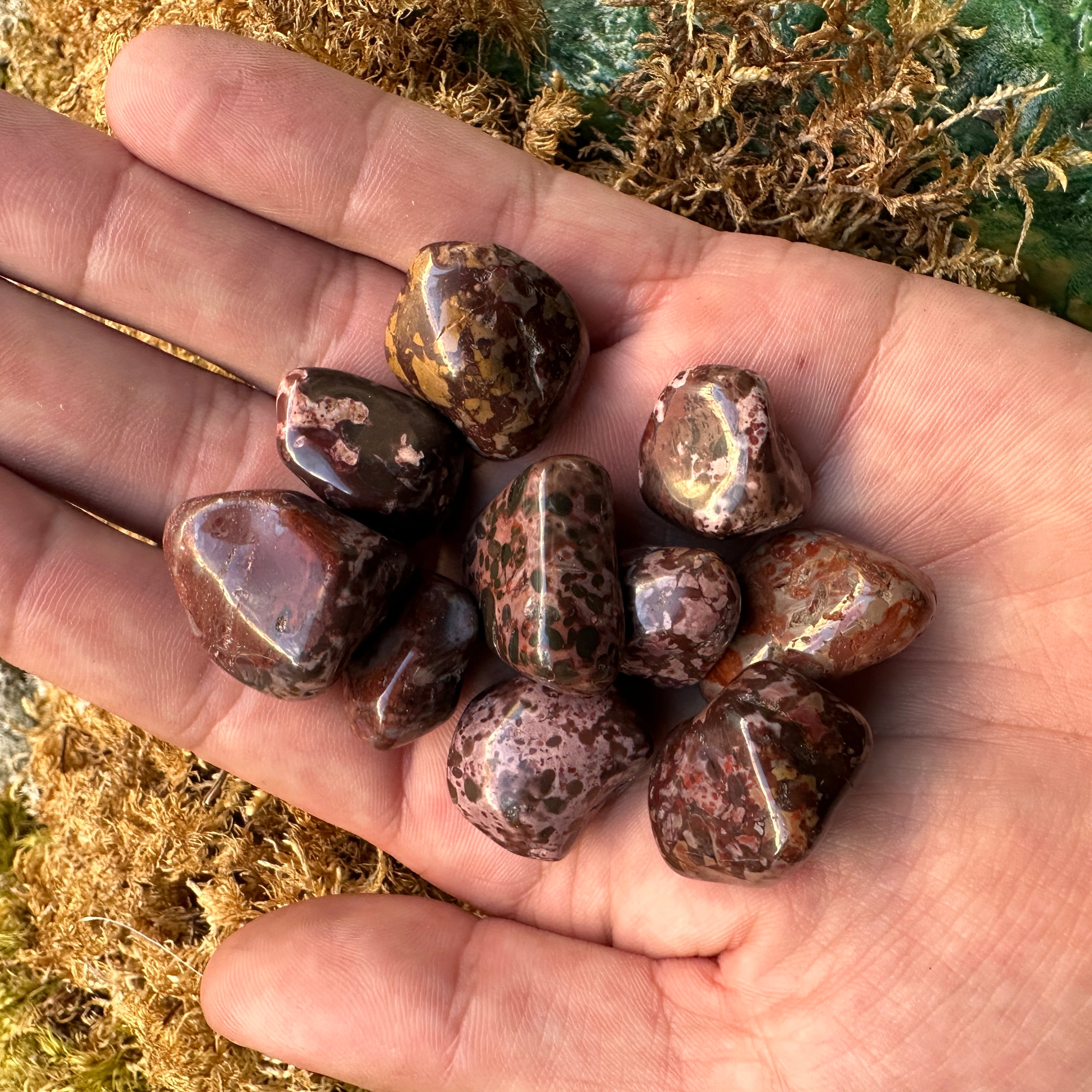 Pocket Size LEOPARD JASPER