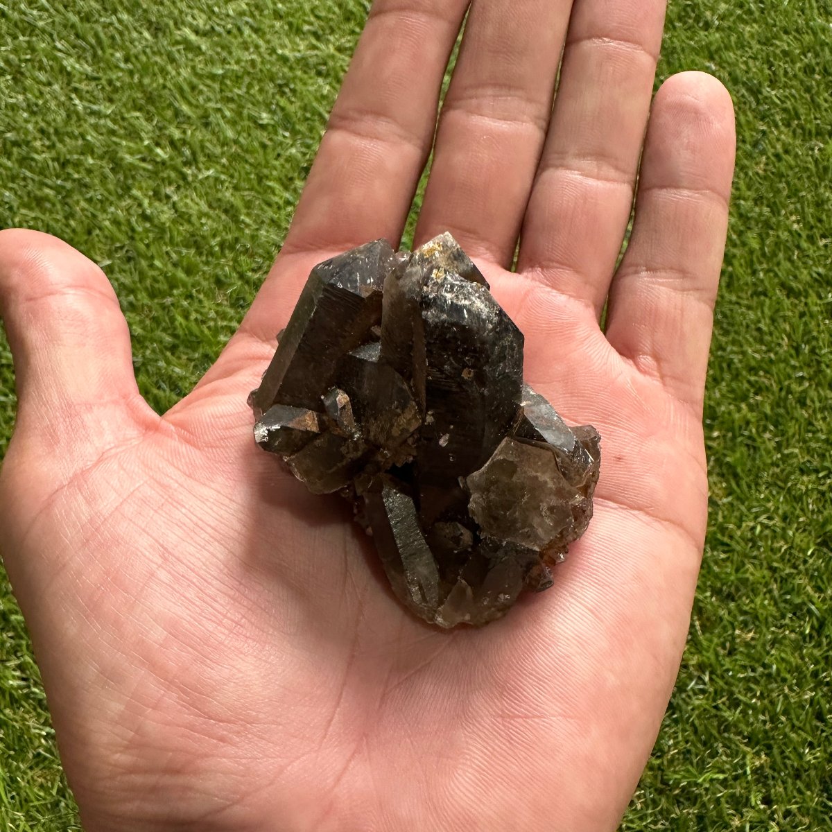 Smoky Quartz Cluster