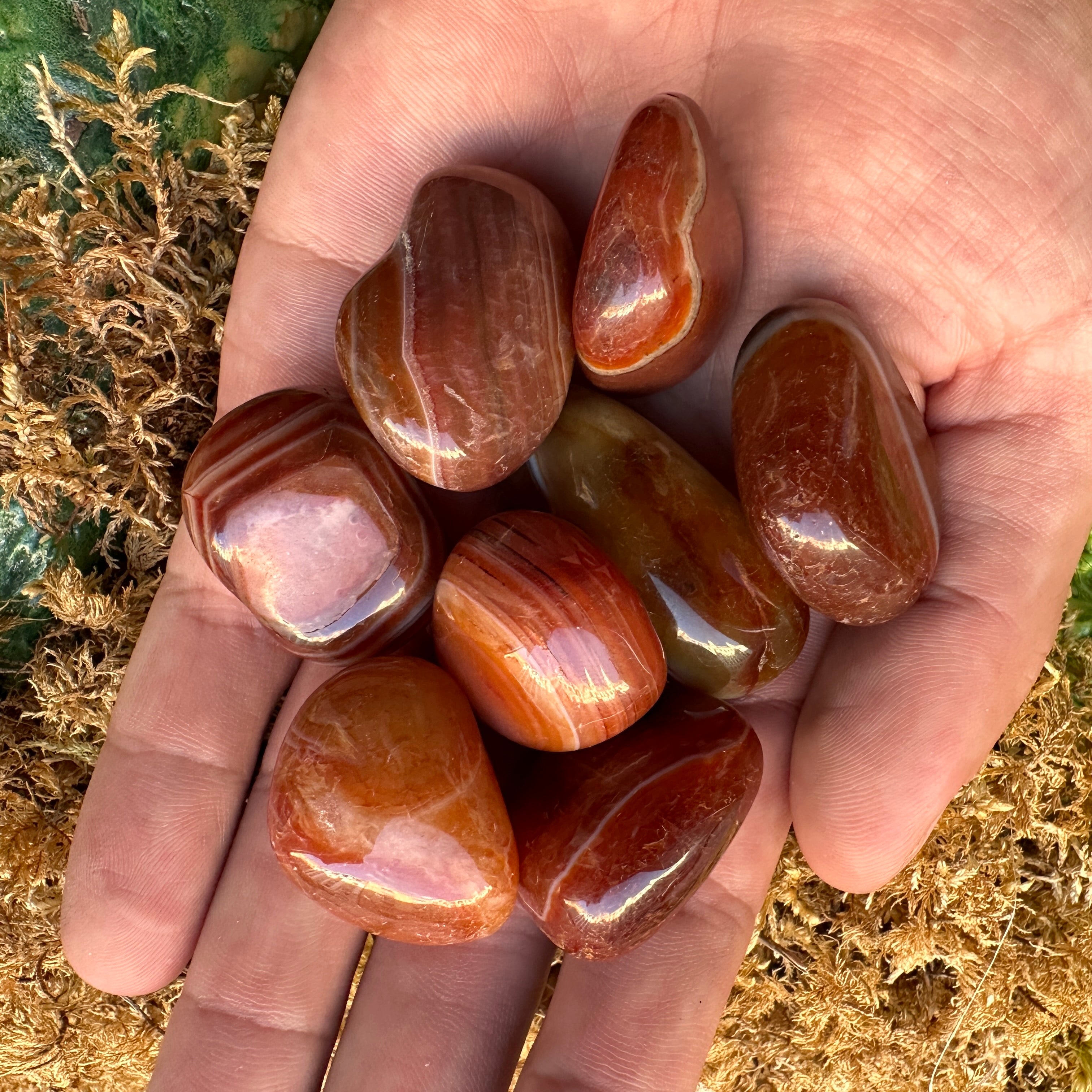 Pocket Size CARNELIAN