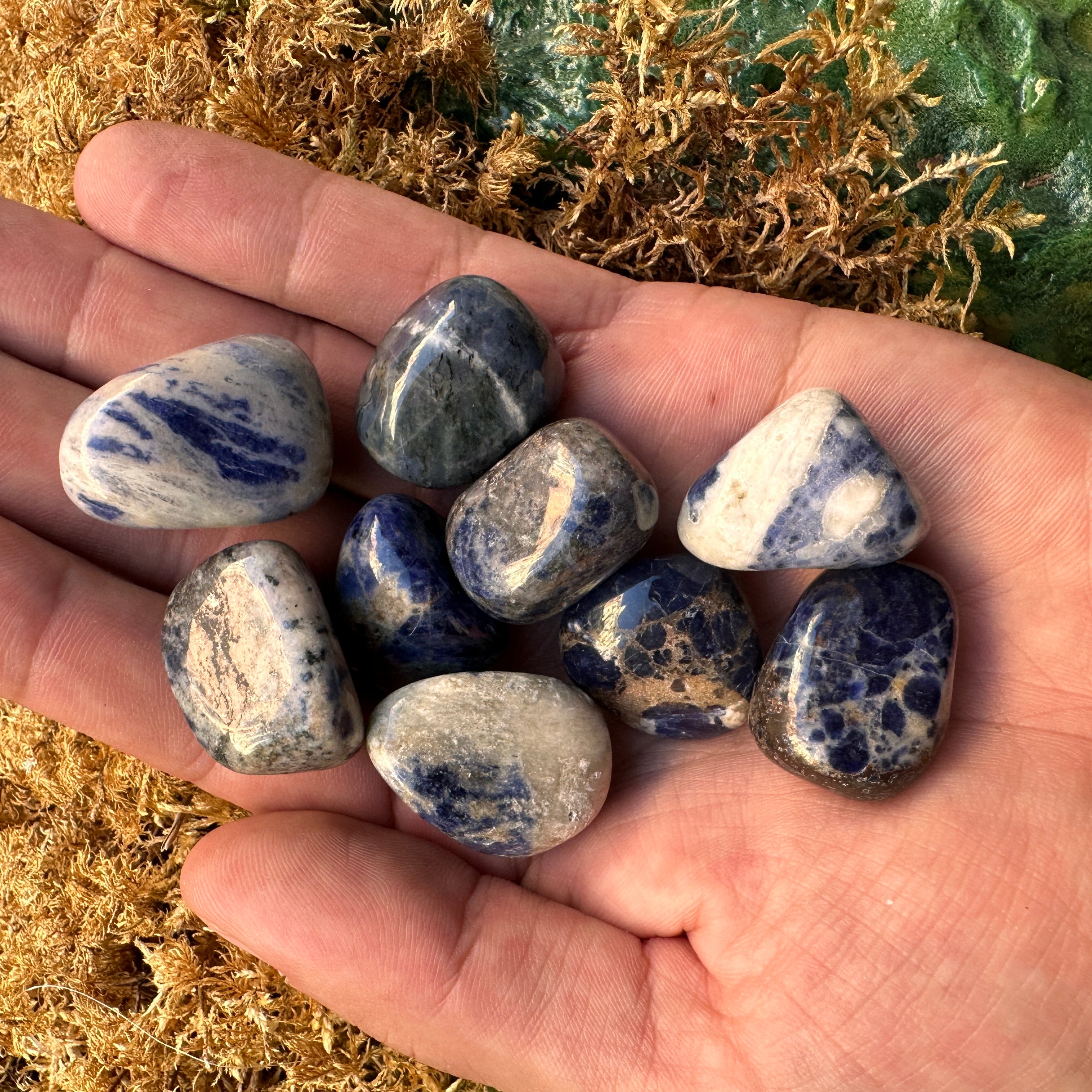 Pocket Size SODALITE