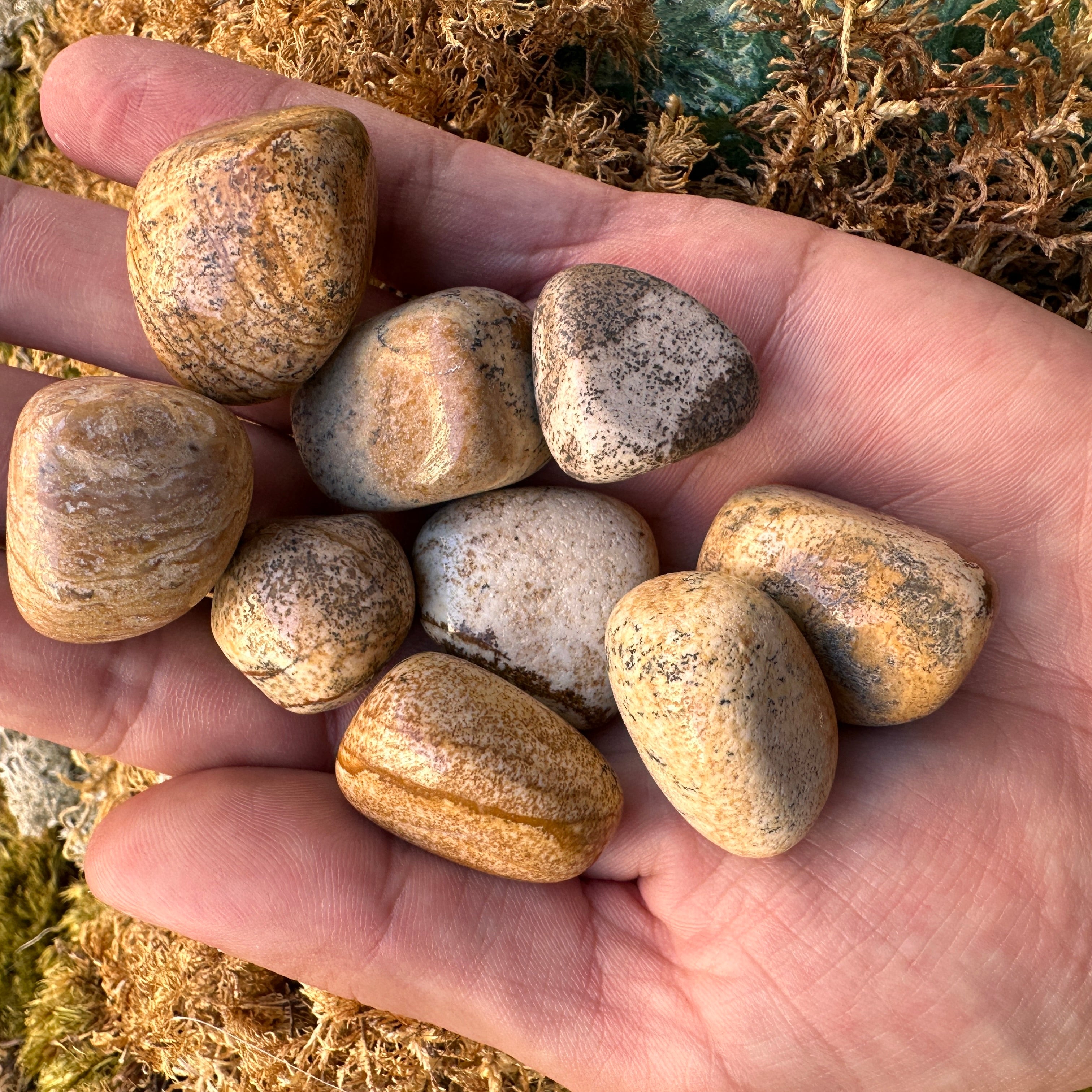 Pocket Size PICTURE JASPER