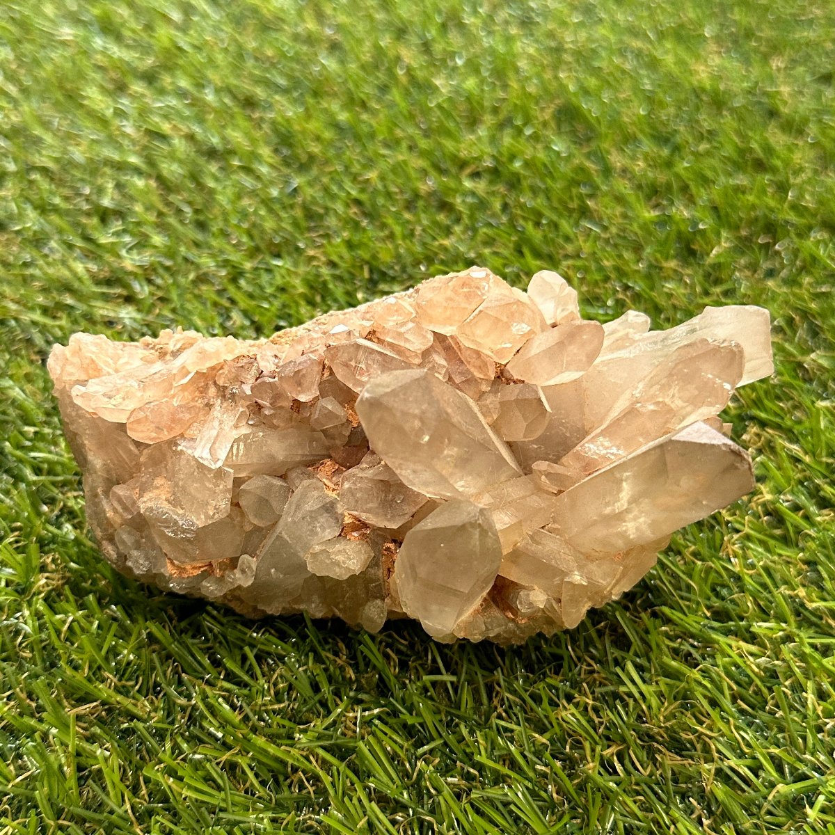 Lemurian Quartz Cluster