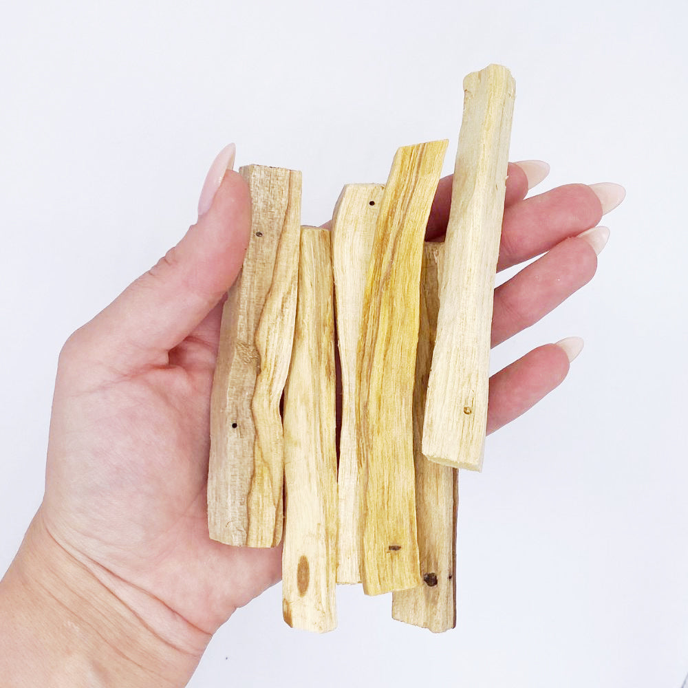 PALO SANTO KOCIŅI