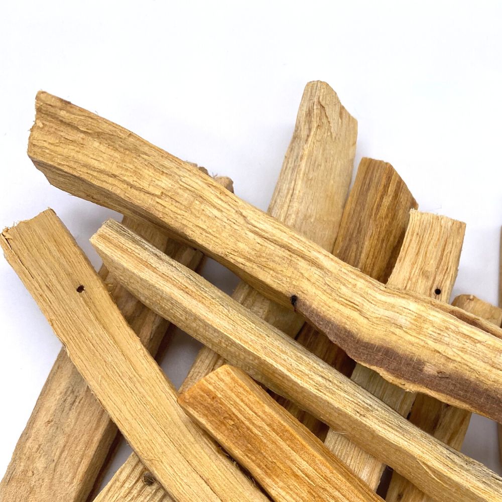 PALO SANTO KOCIŅI